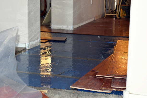 Professional Basement Flood Cleanup technician working in Hobson, TX